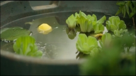 We Were Liars - Season 01 Episode 06